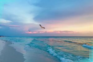 beach in destin